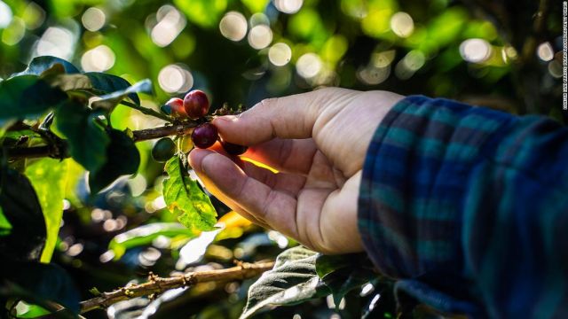 220126101857-colombia-coffee-farm-120121-file-restricted-super-tease.jpg