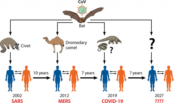 Coronavirus-origins-Coronavirus-is-the-most-prominent-example-of-an-emerging-virus-that.png