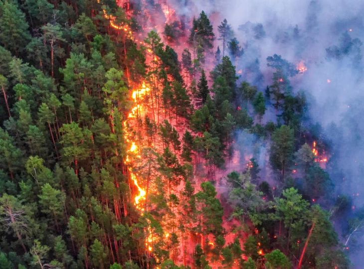 siberia-wildfire-1.jpg